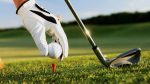 golf-ball-club-hand-glove-grass